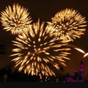 Meet your Posher, Elise